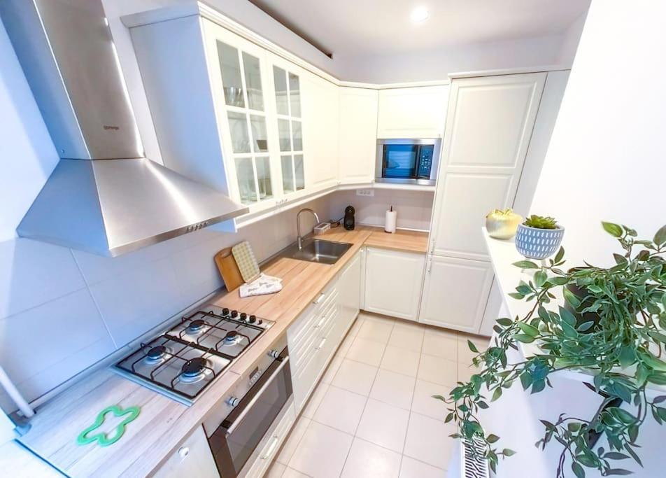 Old Town Spacious Apartment 부쿠레슈티 외부 사진